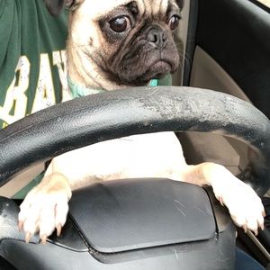 Meet your Posher, Kayley